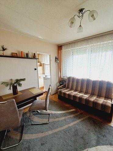 mieszkanie na sprzedaż 32m2 mieszkanie Kalisz, Widok