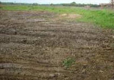 działka na sprzedaż 10000m2 działka Warszawa, Wawer, Borków