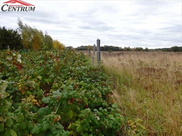 działka na sprzedaż 1142m2 działka Buczek Białogardzki, Buczek Białogardzki