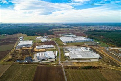 Działka inwestycyjna 98 ha pod logistykę i produkcję działka Strzelno, Zgorzelecka