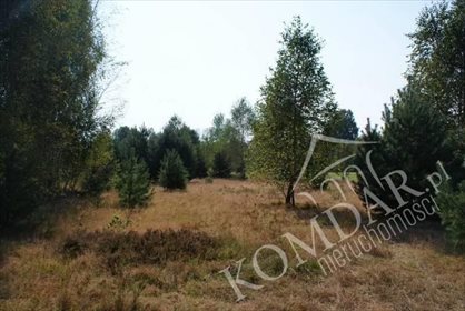 działka na sprzedaż 1000m2 działka Choiny, Choiny