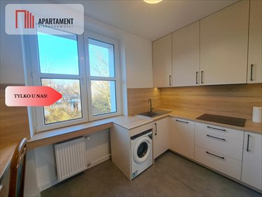 mieszkanie na wynajem 66m2 mieszkanie Brzeg Dolny