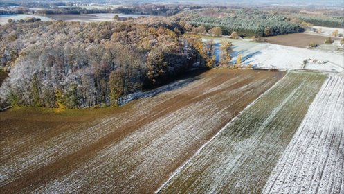 działka na sprzedaż 36600m2 działka Prusice