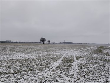 działka na sprzedaż 10000m2 działka Jerzykowo