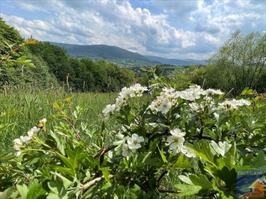 działka na sprzedaż 5900m2 działka Dobra