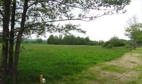 Działka inna na sprzedaż Klimkówka 3 000m2 Foto 2