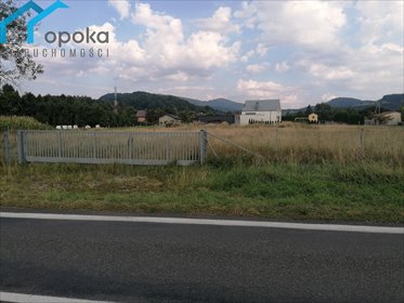 Działka usługowa przy granicy polsko-czeskiej, 3121 m² działka Leszna Górna