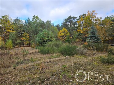 działka na sprzedaż 3400m2 działka Kąty