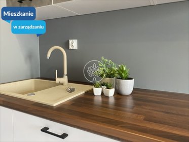 Kawalerka 26 m² w centrum Bydgoszczy, blisko Dworcowej - polecam! mieszkanie Bydgoszcz, Centrum, Dr. Emila Warmińskiego