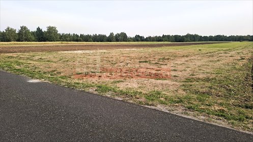 Działka 902 m² z warunkami zabudowy - Siołkowice Nowe działka Siołkowice Nowe