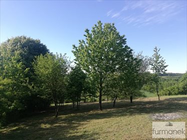 Działka rekreacyjna na sprzedaż Radzięcin 2 328m2 Foto 6