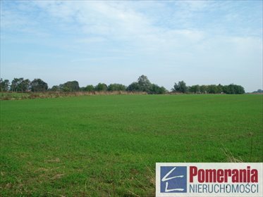 Działka 1,8 ha Wełtyń, pod zabudowę polecam działka Wełtyń