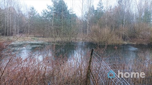 Polecam działkę rekreacyjną 4651 m² z widokiem na staw w Kaletniku działka Kaletnik