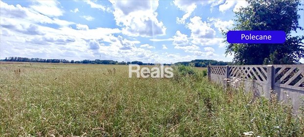 działka na sprzedaż 4149m2 działka Winnica, Domosław