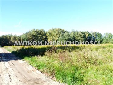 Do sprzedania działka 4200 m² z warunkami zabudowy w Jaktorowie działka Jaktorów, Stare Budy