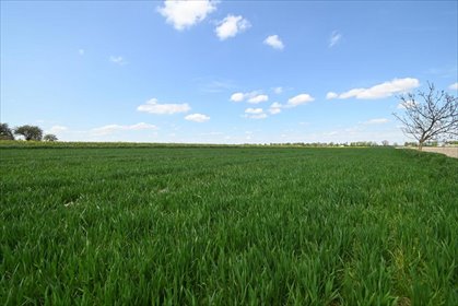 działka na sprzedaż 1300m2 działka Podole