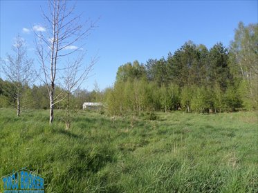 Do sprzedania działka rolna 11 900 m² z lasem i strumykiem działka Niezabyszewo, Niezabyszewo