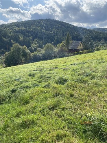 działka na sprzedaż 2100m2 działka Ponikiew