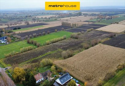 działka na sprzedaż 3059m2 działka Krzewsk