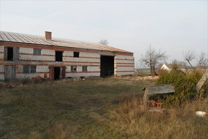 Działka budowlana na sprzedaż Olsza 12 000m2 Foto 2