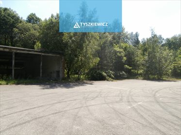 Działka inwestycyjna na sprzedaż Babi Dół 20 302m2 Foto 5