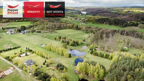 Działka 25 147 m² z potencjałem inwestycyjnym i mediami działka Jodłowno