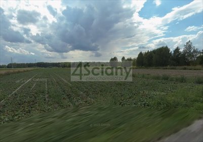 Działka usługowa 12 500 m² z prądem, wodą i wjazdem TIR działka Sokołów