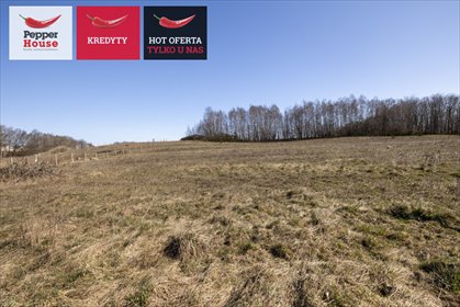 działka na sprzedaż 1545m2 działka Warzenko, Nad Stawem