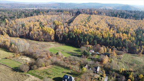 Działka rolna 22 500 m² z potencjałem inwestycyjnym działka Cisów