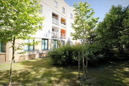 3-pokojowe mieszkanie z balkonem, nowe po remoncie! polecam! mieszkanie Poznań, Umultowo, Umultowska