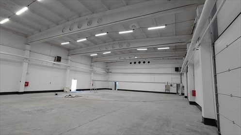 Magazyn 655 m² z biurem, rampami i ochroną w Poznaniu magazyn Poznań, Jeżyce, Druskienicka