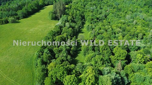 Działka rolna 1 ha w Manasterzec, spokojna okolica działka Lesko, Manasterzec