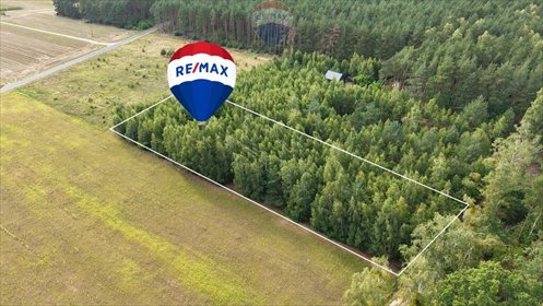 działka na sprzedaż 3179m2 działka Puszcza Rządowa