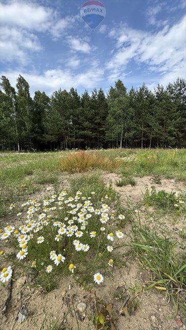 działka na sprzedaż 1000m2 działka Gójszcz