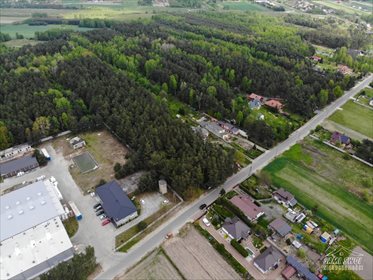 Działka leśna na sprzedaż Pożdżenice 6 206m2 Foto 1