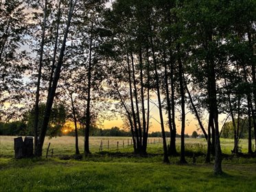 działka na sprzedaż 3000m2 działka Secymin Polski, Secymin Polski, Secymin Polski