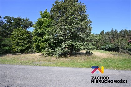 działka na sprzedaż 2714m2 działka Niwiska