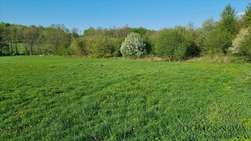 działka na sprzedaż 3600m2 działka Łąki