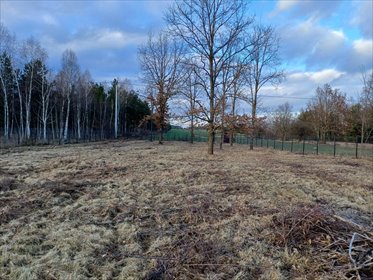 działka na sprzedaż 13900m2 działka Wola Paprotnia, Główna