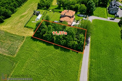 Działka budowlana 11,37 ara z drzewami owocowymi działka Brzozówka Korzkiewska