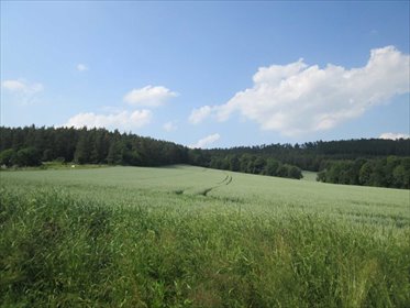 Przestronna działka usługowo-mieszkaniowa 4700 m² - polecam! działka Dzierżoniów