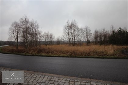 działka na sprzedaż 5450m2 działka Syców