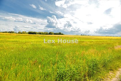 działka na sprzedaż 2603m2 działka Dobropole Gryfińskie