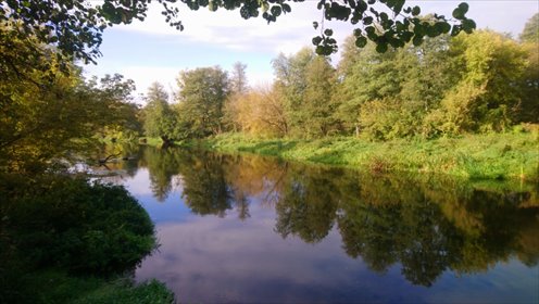 działka na sprzedaż 4828m2 działka Popielżyn-Zawady