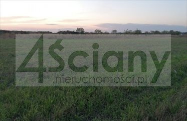 działka na sprzedaż 28700m2 działka Bieniewo-Parcela