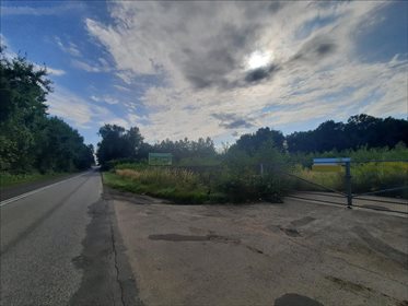 Działka budowlana na sprzedaż Pruchna, Strumień 5 276m2 Foto 6
