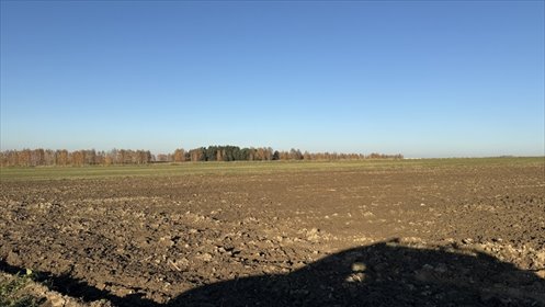 Działka inwestycyjna z szerokimi możliwościami rozwoju działka Dąbrówka Wielka, Dąbrowska
