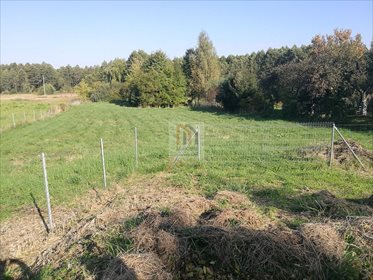 Działka budowlana na sprzedaż Sieprawice 5 800m2 Foto 1