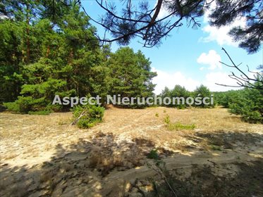 Działka inna na sprzedaż Stawinoga 2 555m2 Foto 3