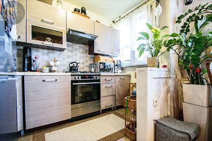 mieszkanie na wynajem 40m2 mieszkanie Żarów, Łokietka